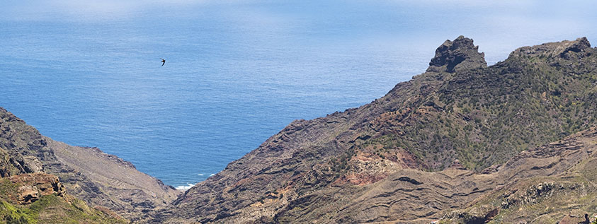 Roadtrips in Spain