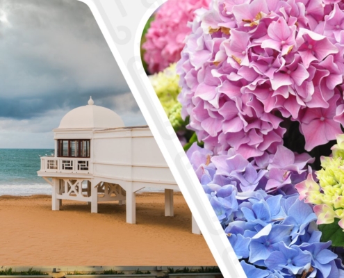 Marriage in Spain What Do You Need to Know