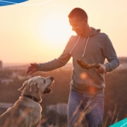 Pets in Spain Moving and Living With Your Buddy in Spain