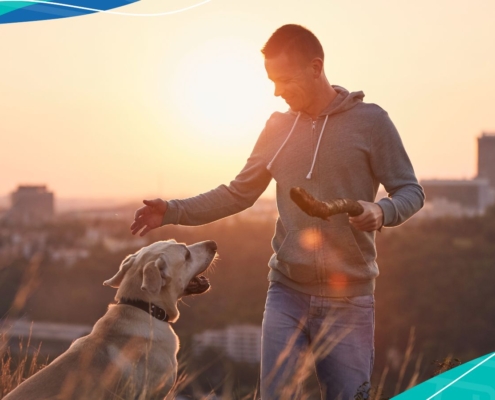 Pets in Spain Moving and Living With Your Buddy in Spain