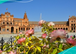 Spanish Commercial Contracts Frequently Asked Questions
